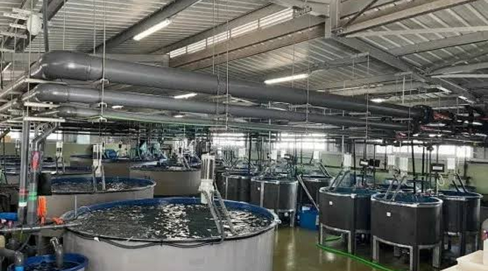 Aquaculture